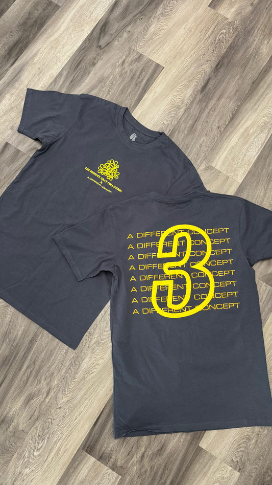 Phoenix Gray Collection: 3